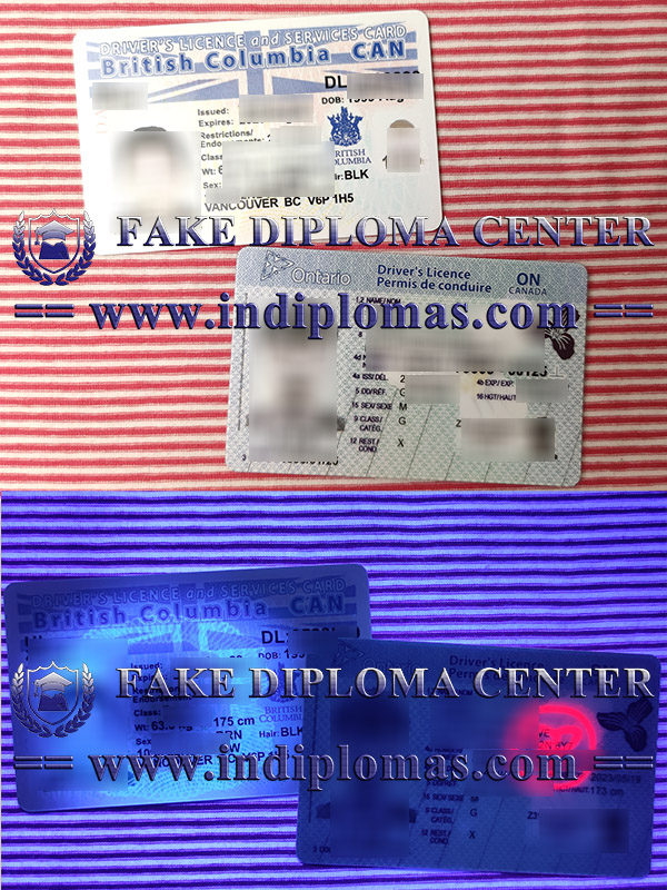 fake Canada driver licence,